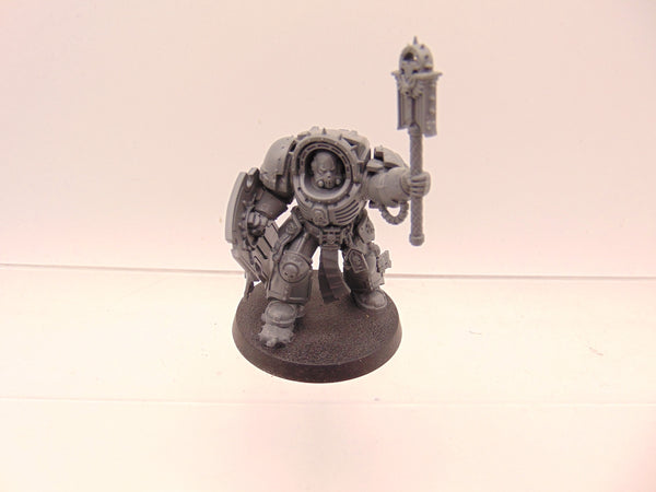 Chaplain in Terminator Armour