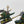 Saurus Cold One Knights