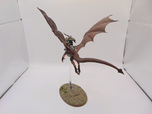Stormdrake Guard