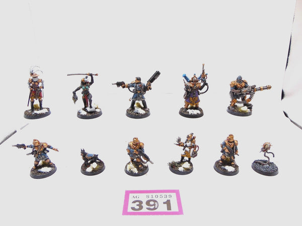 Rogue Trader Entourage and Voidsmen-at-Arms