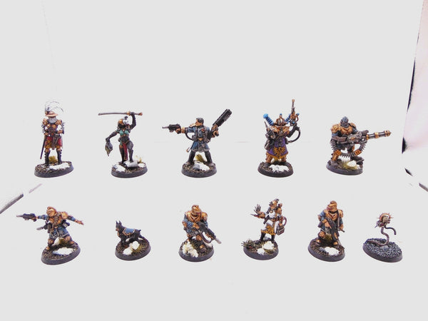 Rogue Trader Entourage and Voidsmen-at-Arms