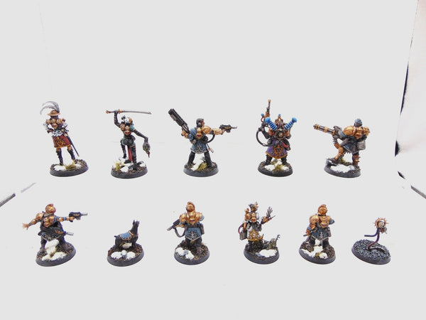 Rogue Trader Entourage and Voidsmen-at-Arms