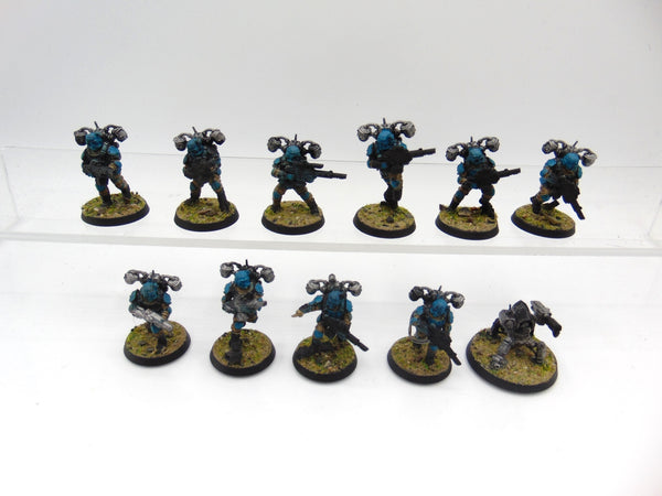 Tempestus Aquilons