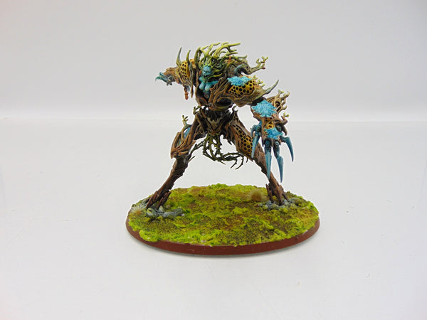 Drycha Hamadreth