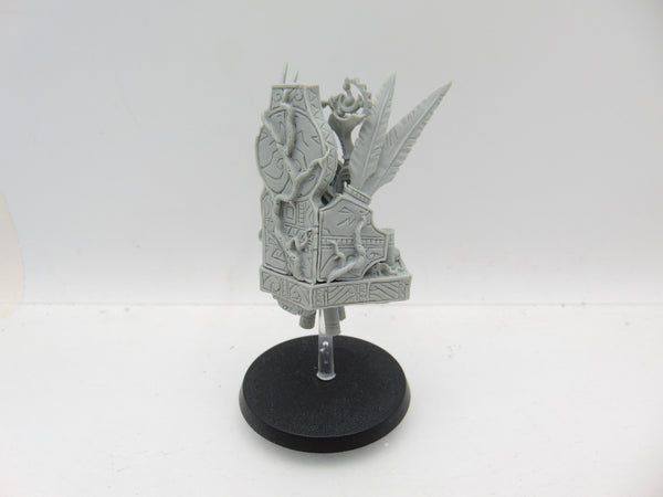 Skink Starseer / Tetto'Eko
