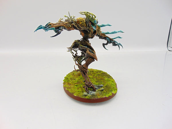 Drycha Hamadreth