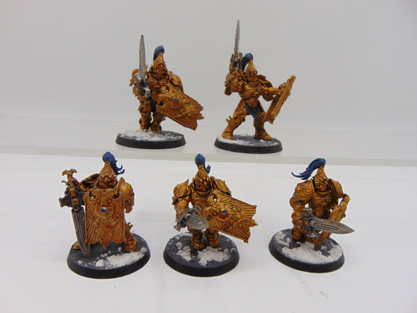 Custodian Guard