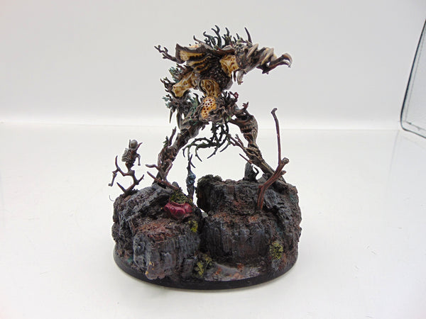 Drycha Hamadreth