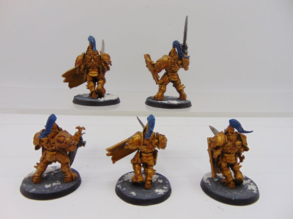 Custodian Guard