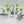 Jungle Trees Tank Traps Scatter Terrain