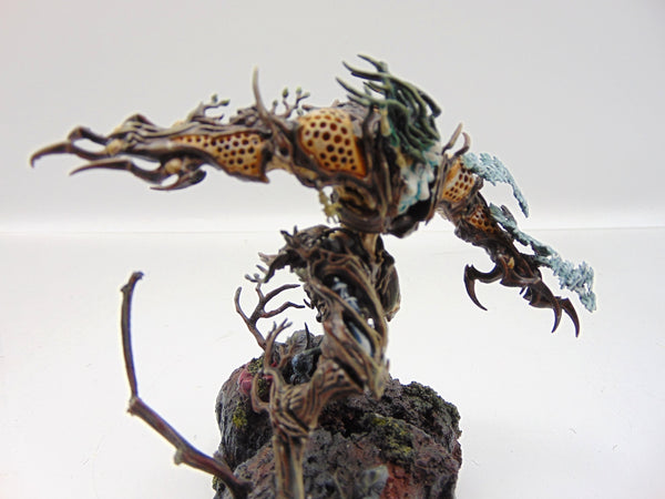 Drycha Hamadreth