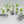 Jungle Trees Tank Traps Scatter Terrain