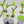 Jungle Trees Tank Traps Scatter Terrain