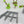 Jungle Trees Tank Traps Scatter Terrain