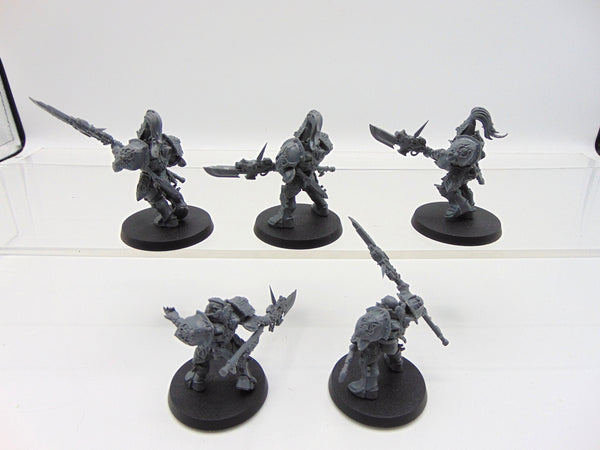 Custodian Guard