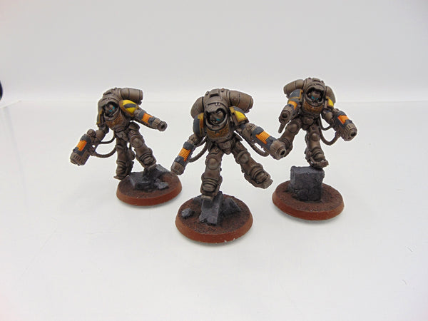 Inceptors