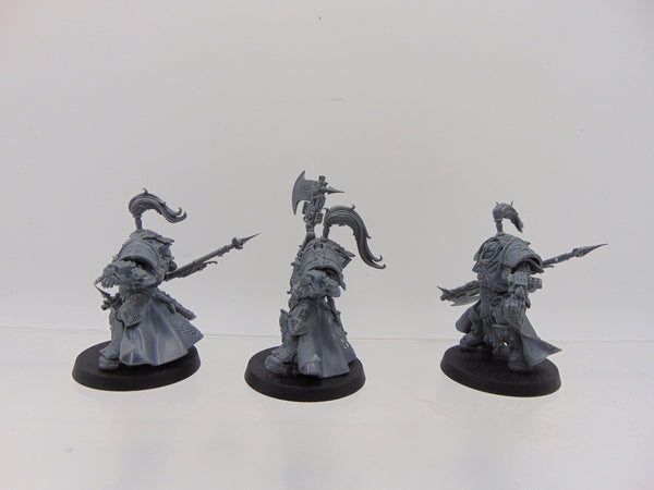 Allarus Custodians