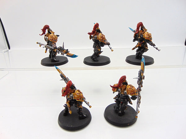 Custodian Guard