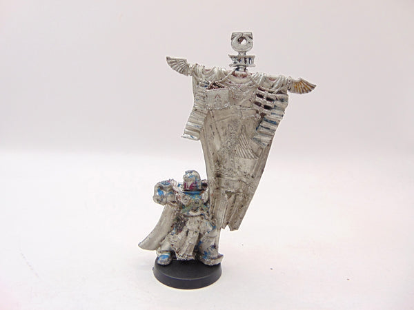 Honour Guard Standard Bearer