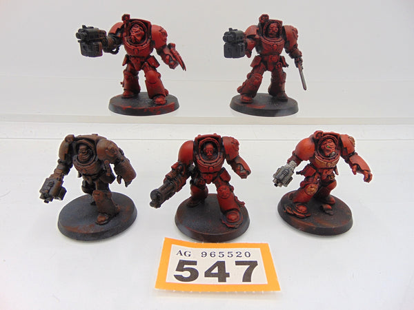 Terminator Squad