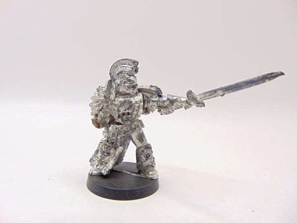 Honour Guard Champion
