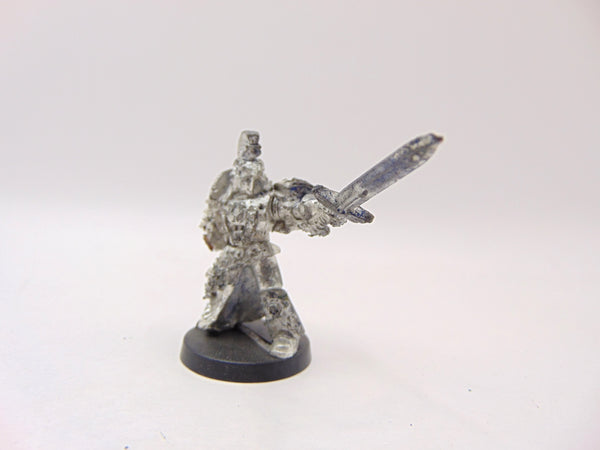 Honour Guard Champion