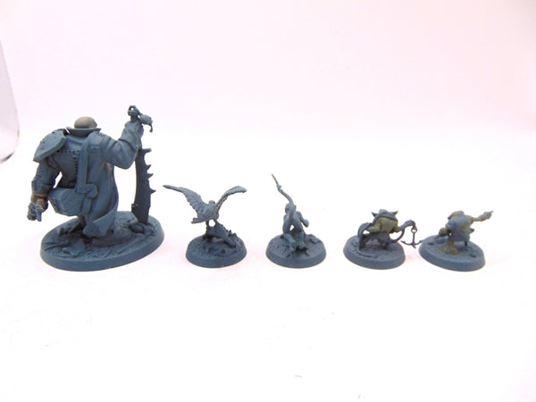 Blackpowder's Buccaneers