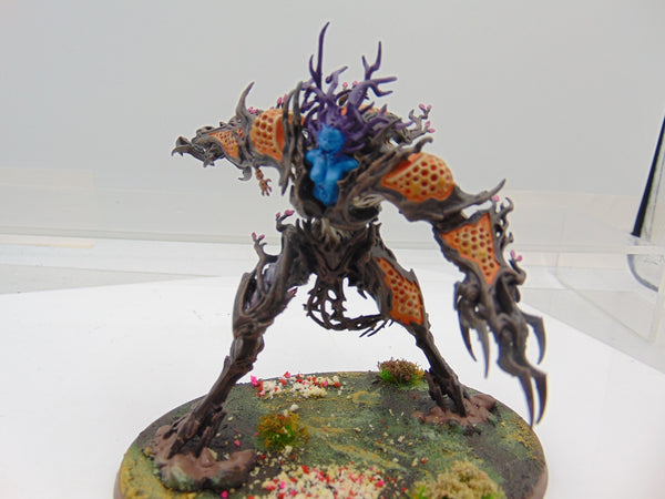 Drycha Hamadreth