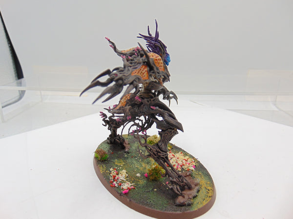 Drycha Hamadreth