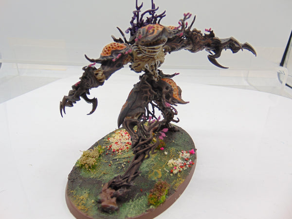 Drycha Hamadreth