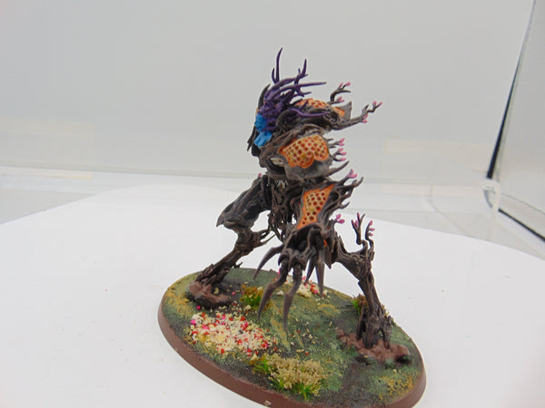 Drycha Hamadreth