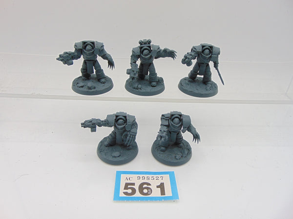 Cataphractii Terminator Squad