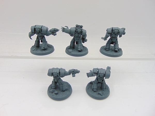Cataphractii Terminator Squad