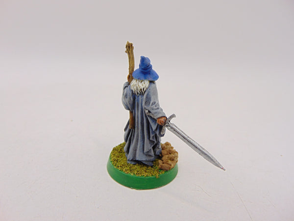 Gandalf the Grey