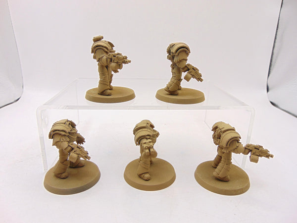 Cataphractii Terminator Squad
