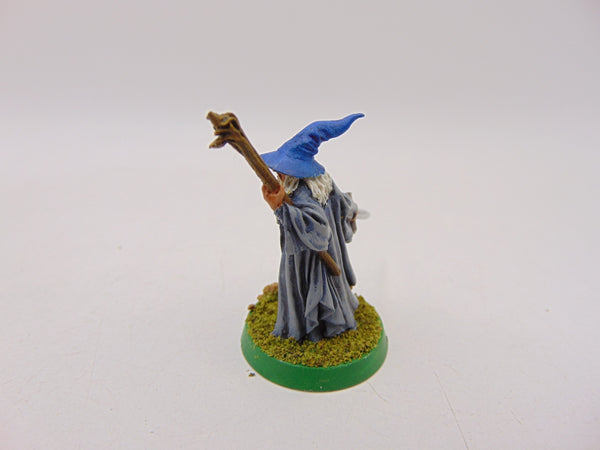 Gandalf the Grey