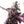 Wolf Lord Krom Dragongaze