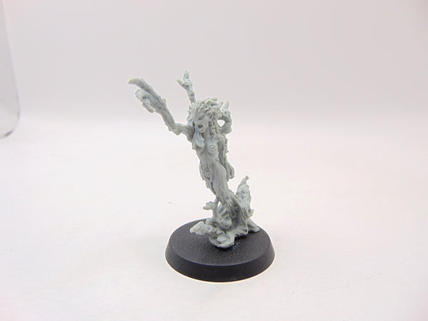 Branchwraith Drycha
