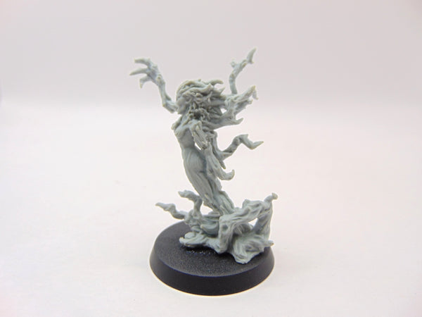 Branchwraith Drycha
