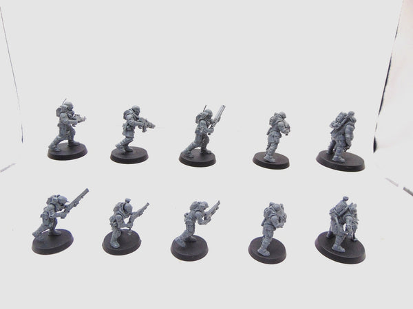 Neophyte Hybrids