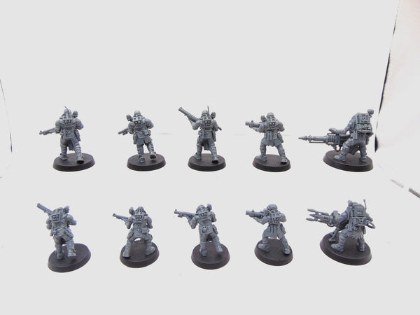 Neophyte Hybrids