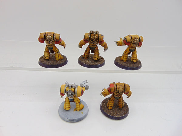 Cataphractii Terminator Squad