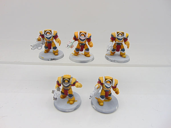 Cataphractii Terminator Squad
