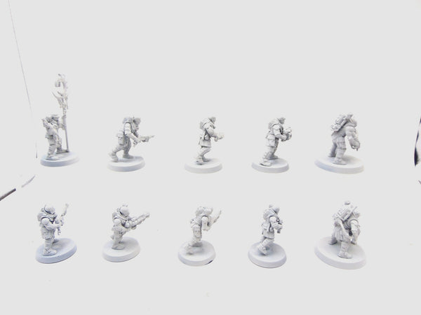 Neophyte Hybrids