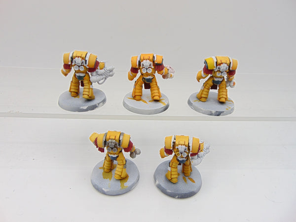 Cataphractii Terminator Squad