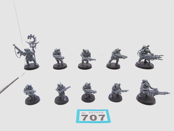 Neophyte Hybrids