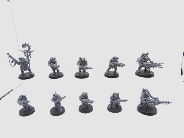 Neophyte Hybrids