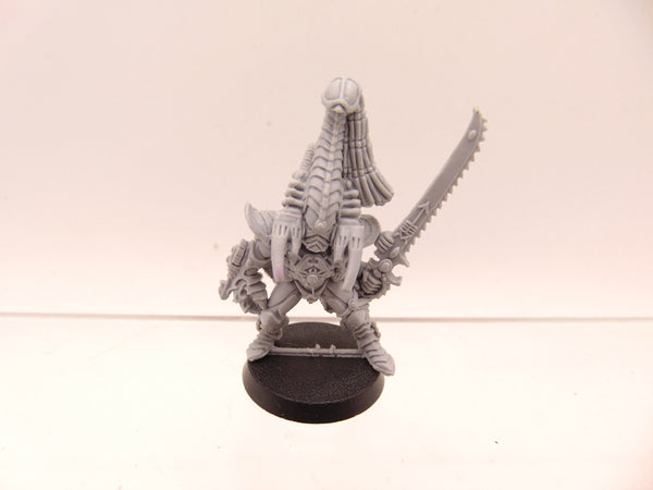 Phoenix Lord Karandras