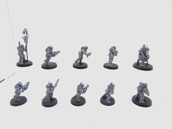 Neophyte Hybrids