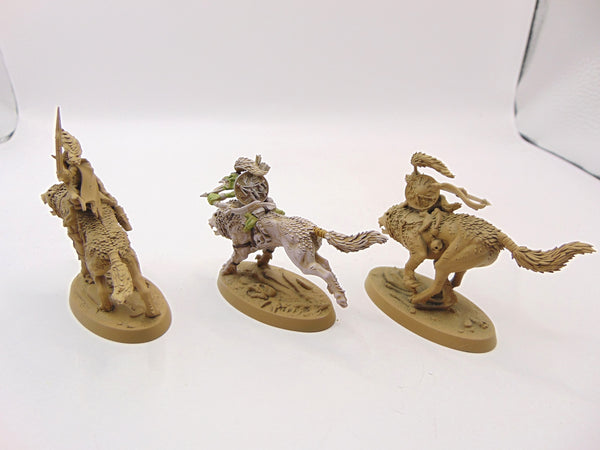 Snarlboss & Wolfgit Retinue